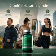 ZLF Vertalis Doğası değiştirilmemiş Tip 2 Kolajen + D3-K2 Premium Eklem ve Kemik Formülü